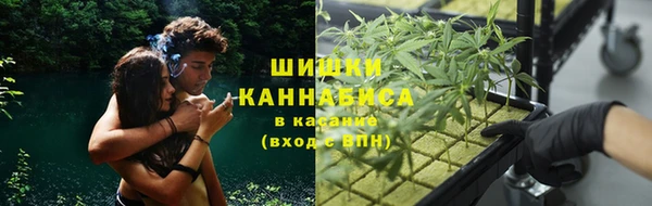 МДПВ Абаза