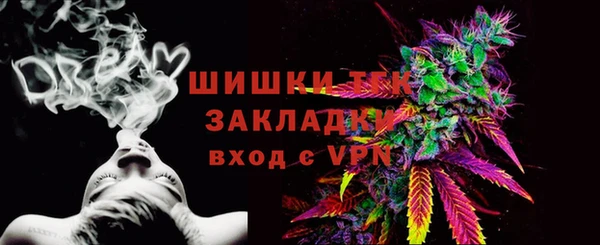 индика Рославль