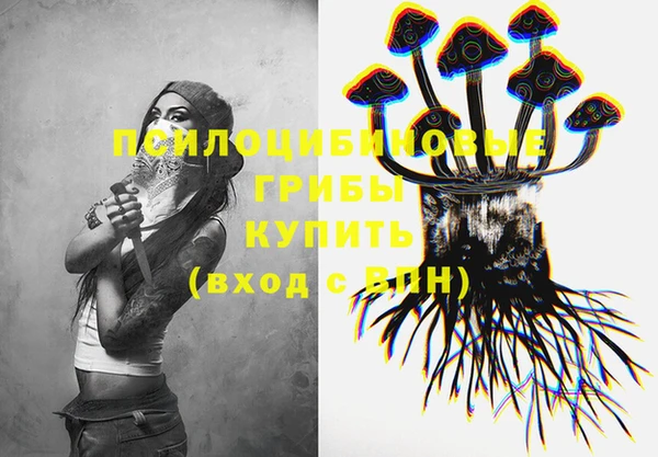 PSILOCYBIN Россошь