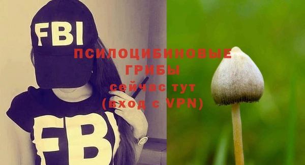 PSILOCYBIN Алексин