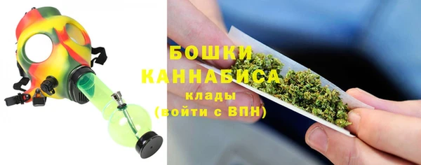 PSILOCYBIN Россошь