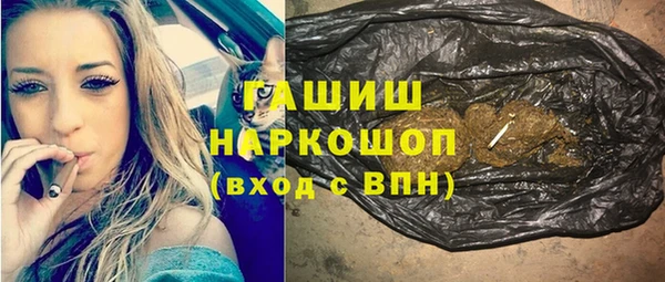 индика Рославль