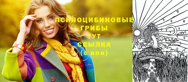 индика Рославль
