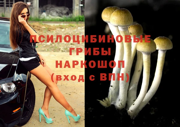 PSILOCYBIN Россошь