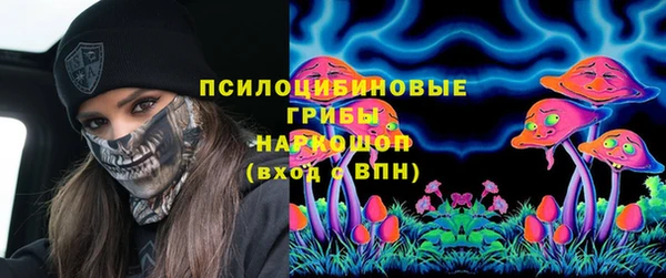а пвп мука Алзамай
