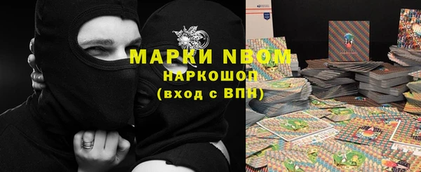 индика Рославль