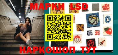 гашик Донецк