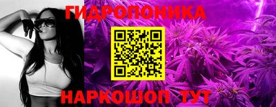 ешки Дубна