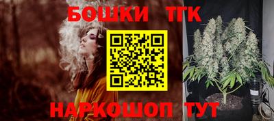ешки Дубна
