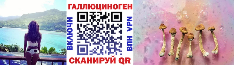 дарнет шоп  Избербаш  Псилоцибиновые грибы мицелий 
