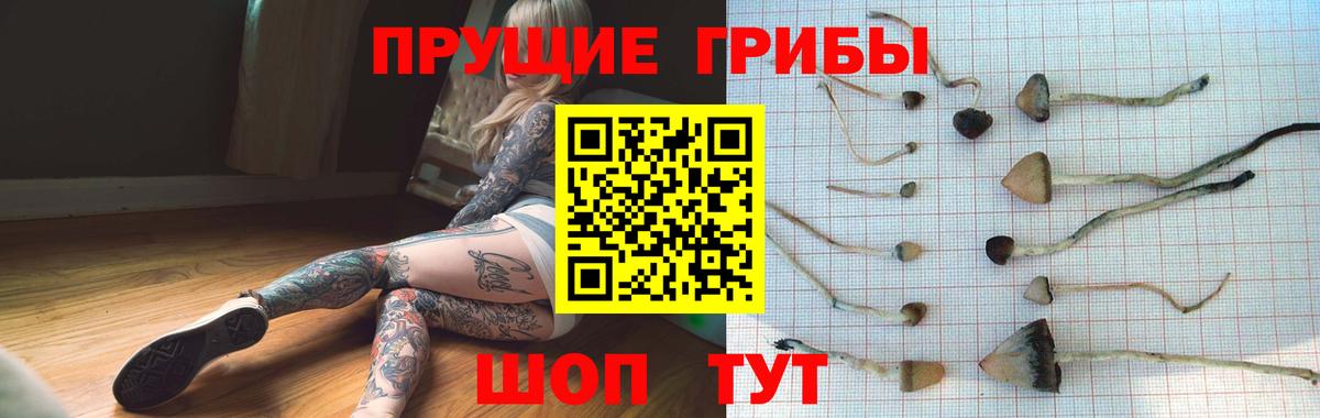 Псилоцибиновые грибы Magic Shrooms Избербаш