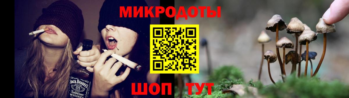 Псилоцибиновые грибы Psilocybine cubensis  хочу наркоту  Вход с VPN  Избербаш  Галлюциногенные грибы прущие грибы 